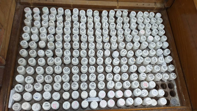 Slider image (4) Dr. A Amin Homeopath